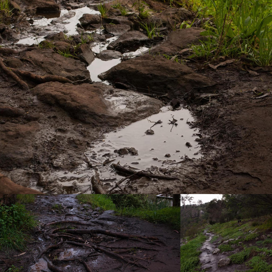 Muddy Paths