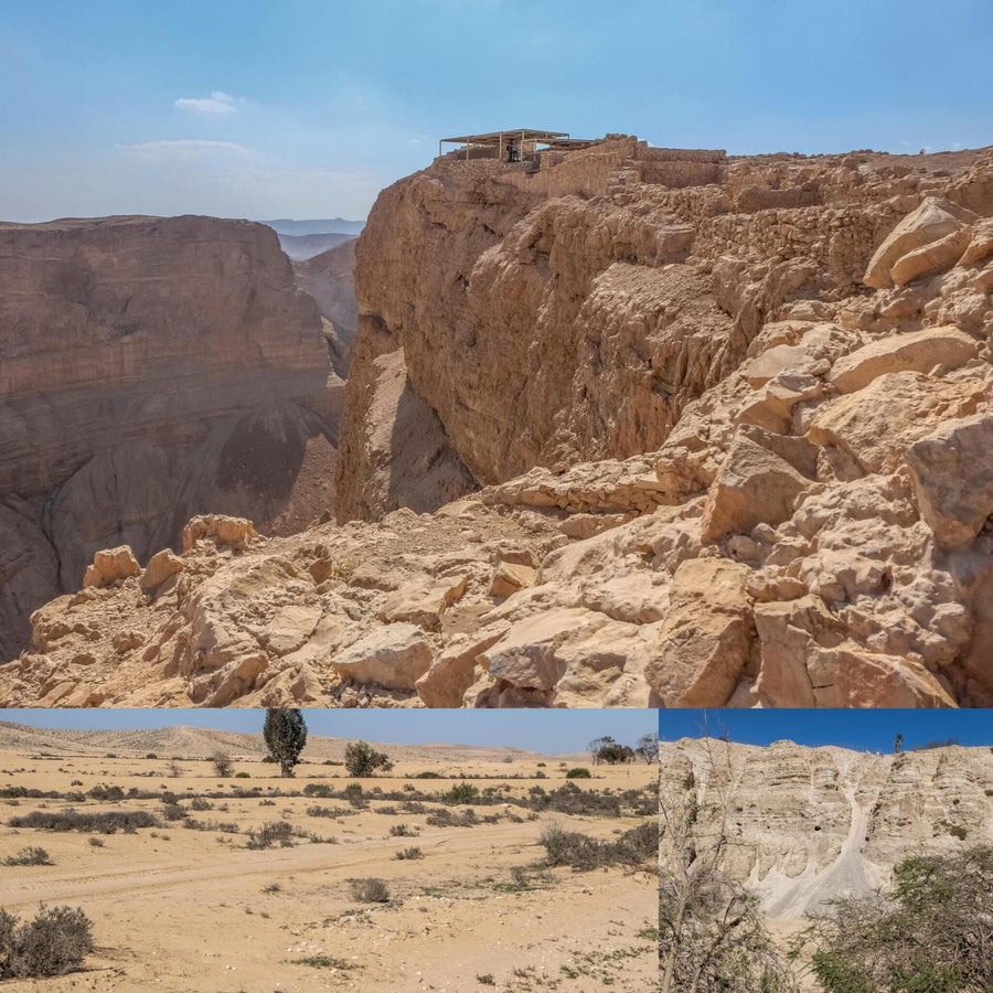 Israel Arid Landscape