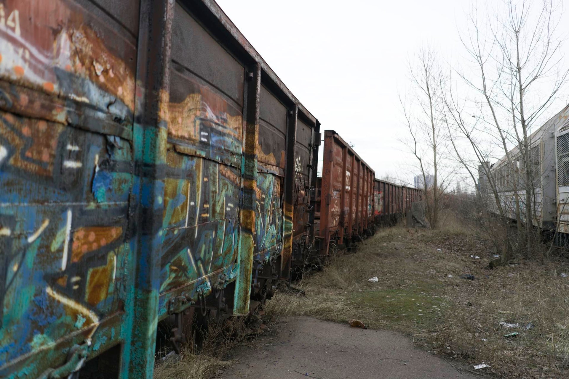 Abandoned Railroad Cars