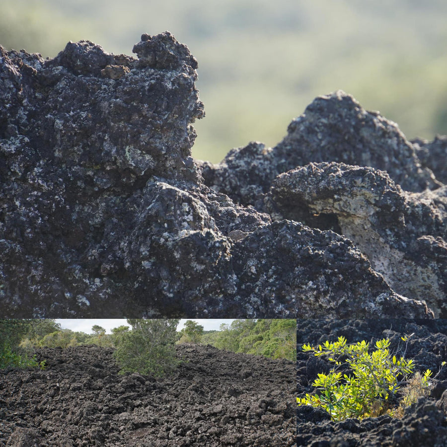 Volcanic Island Lava Rock Fields