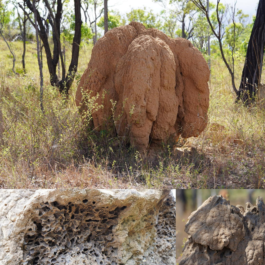 Large Brown Termite Mounds
