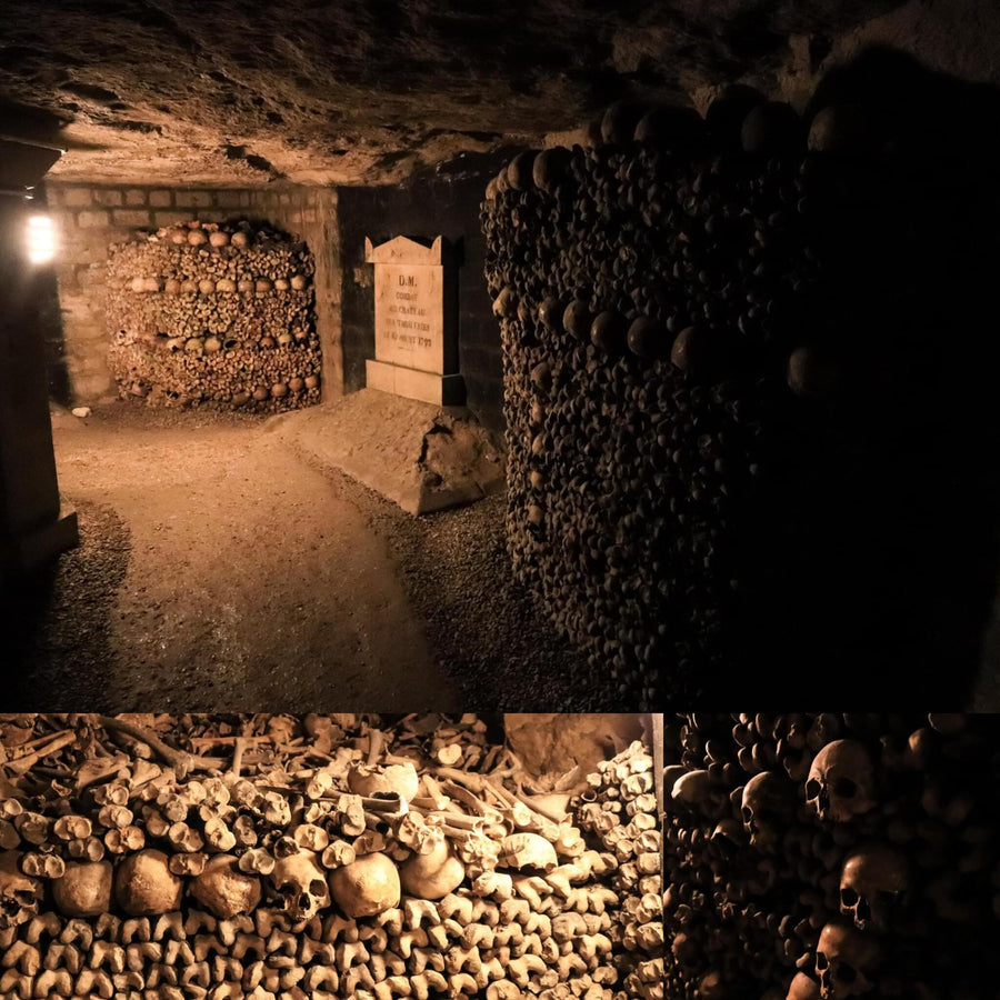 Skull Paved Catacombs of Paris