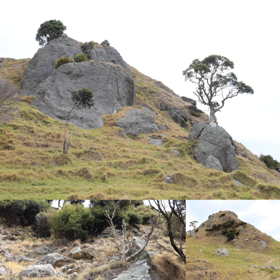 Rocky Grass Hill