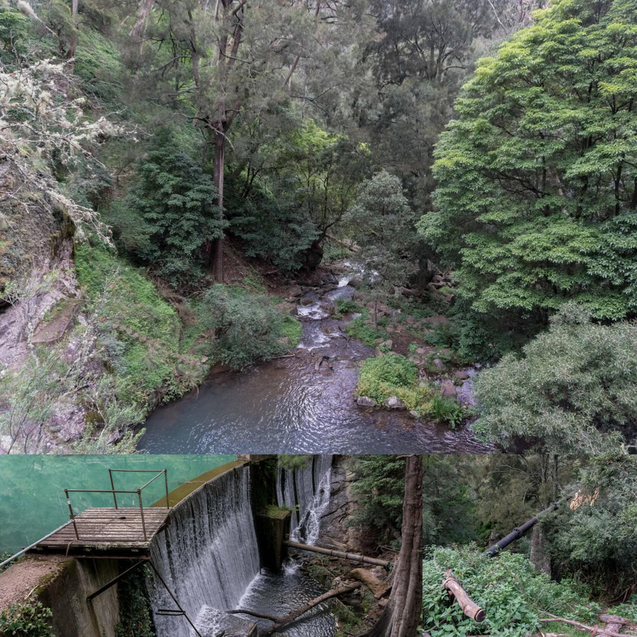 Green Stream and an Old Dam