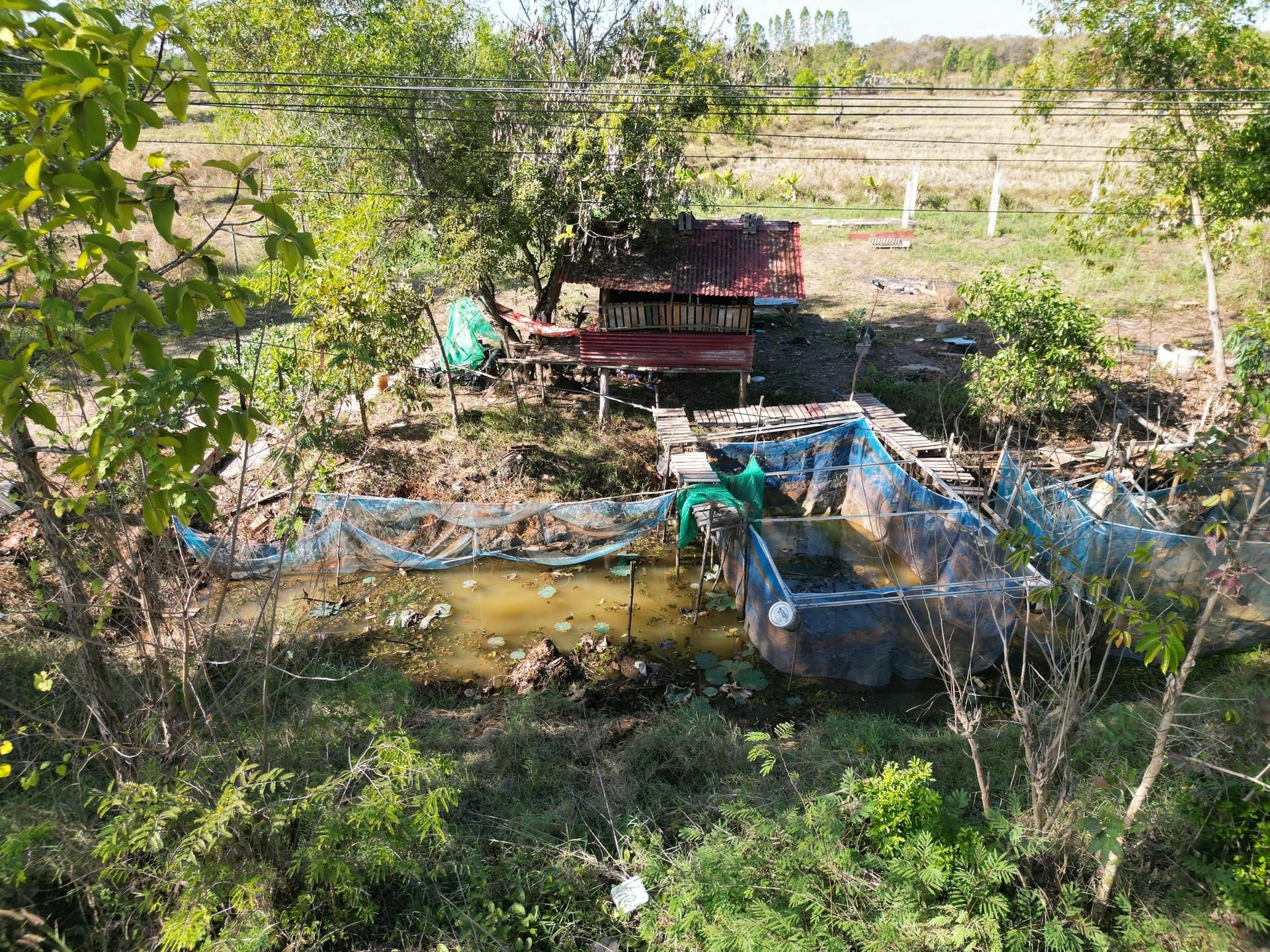 Trashy Tiny Asian Fishing Farm