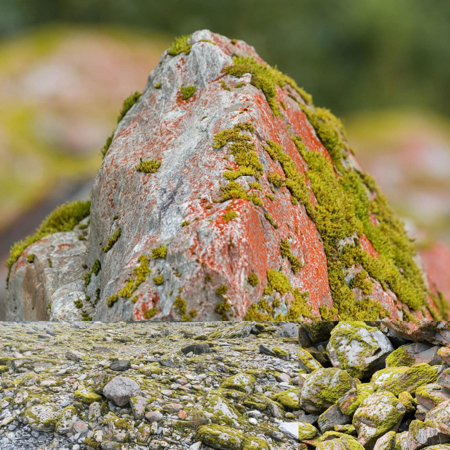 Red and Green Mossy Rock Valley