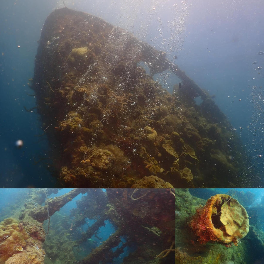 Murky Coral Overgrown Japanese Cargo Shipwreck