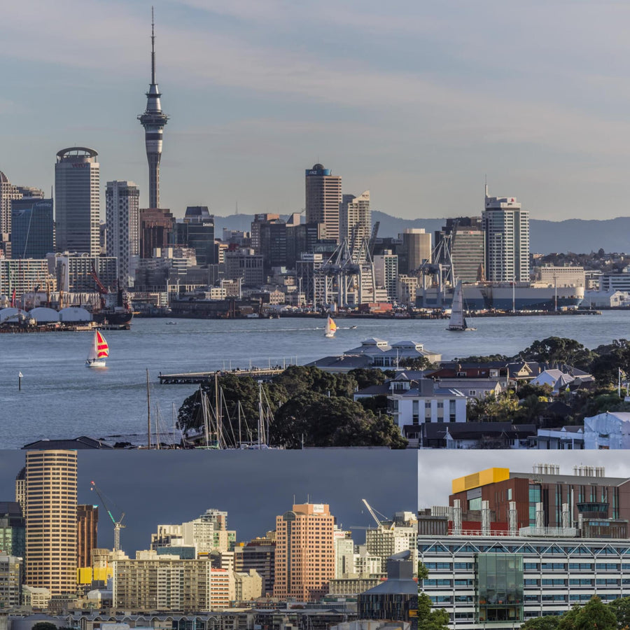 Auckland Cityscape