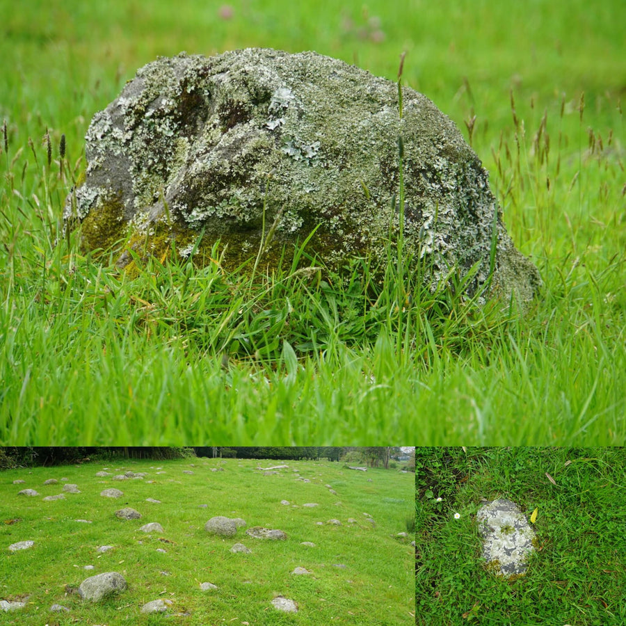 Round Rock Grassy Field