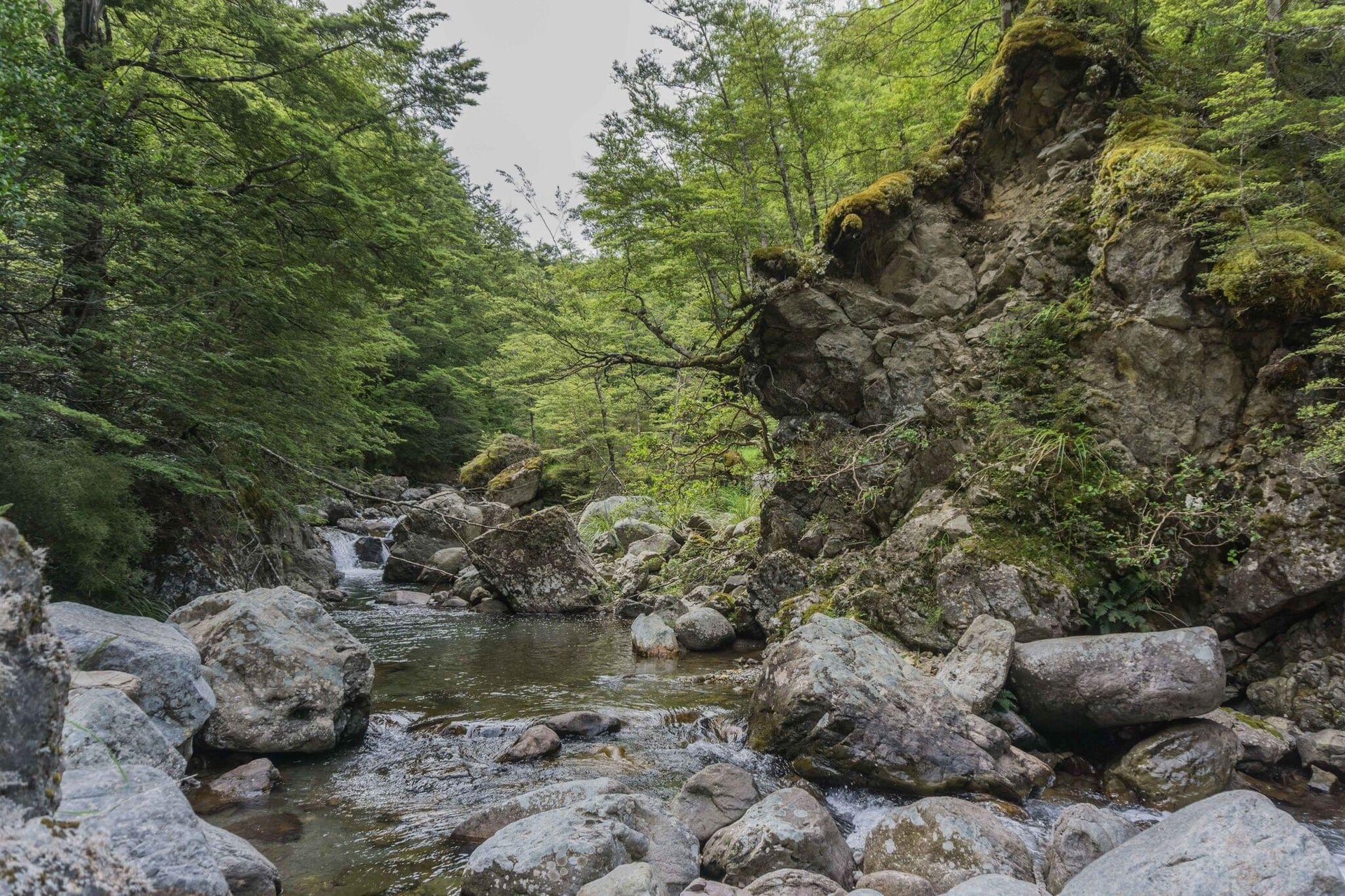 Mountain Stream