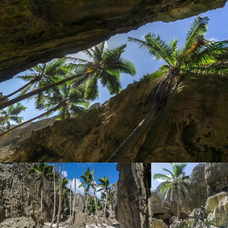 Togo Coral Rock Chasm