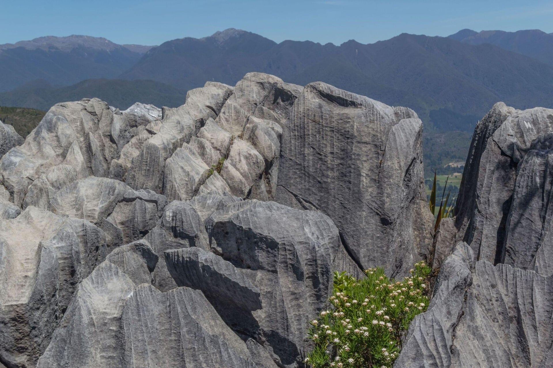 Karst Marble Rocks