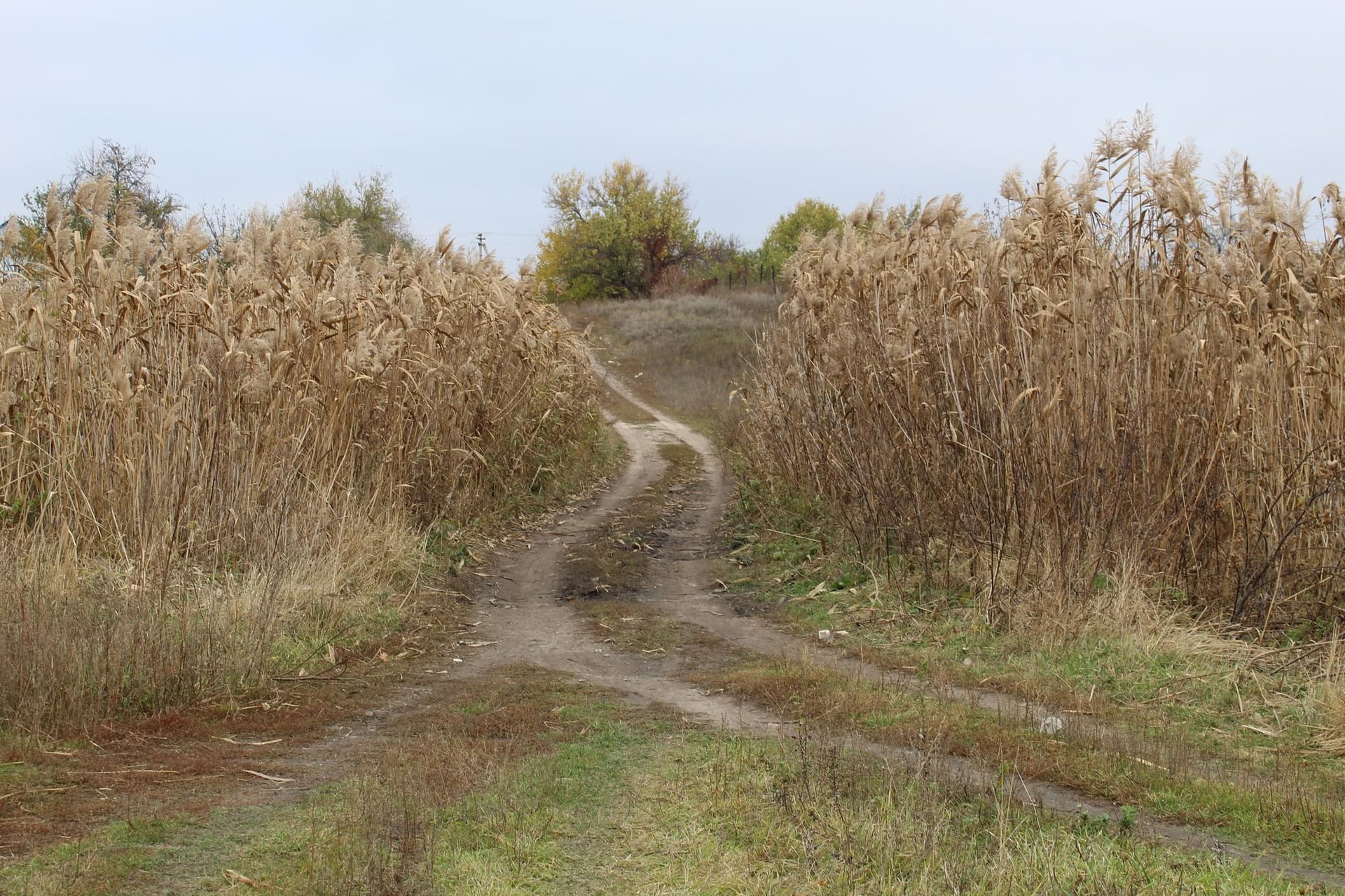 Dirt Roads