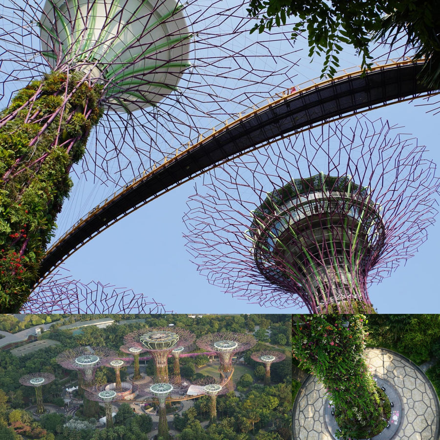 Giant Tree Garden Structures