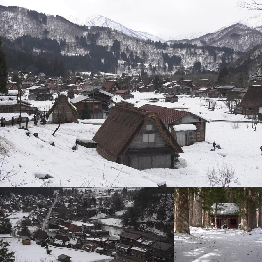 Snowy Japanese Village