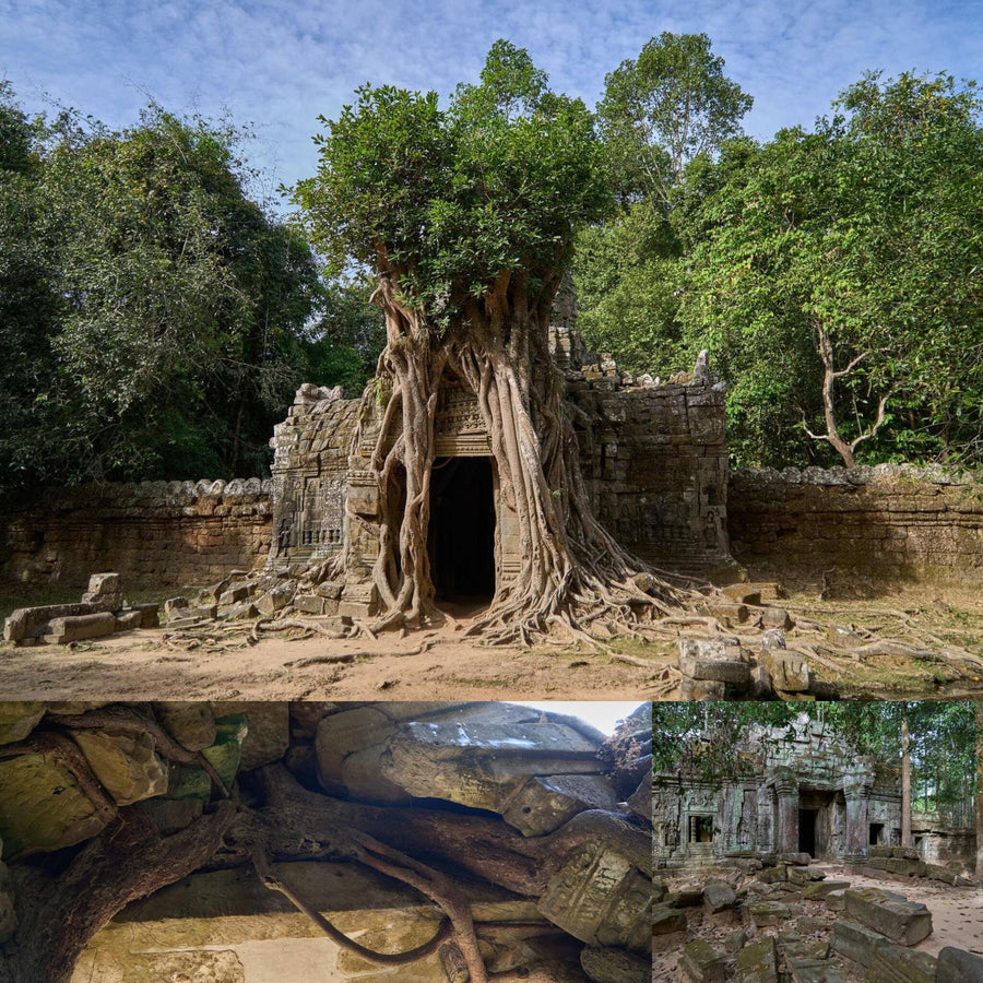 Overgrown Entrance Khmer Temple