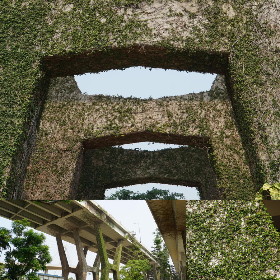 Overgrown Road Bridge Supports