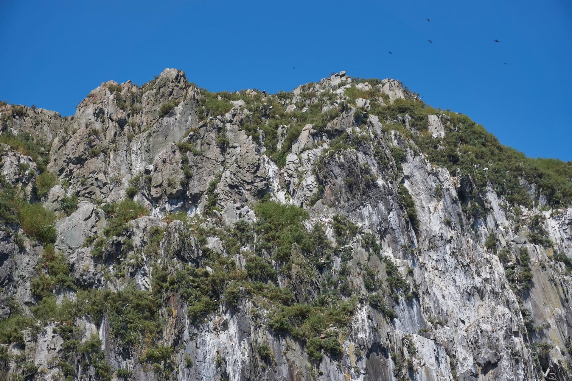 Marine Steep Cliffs