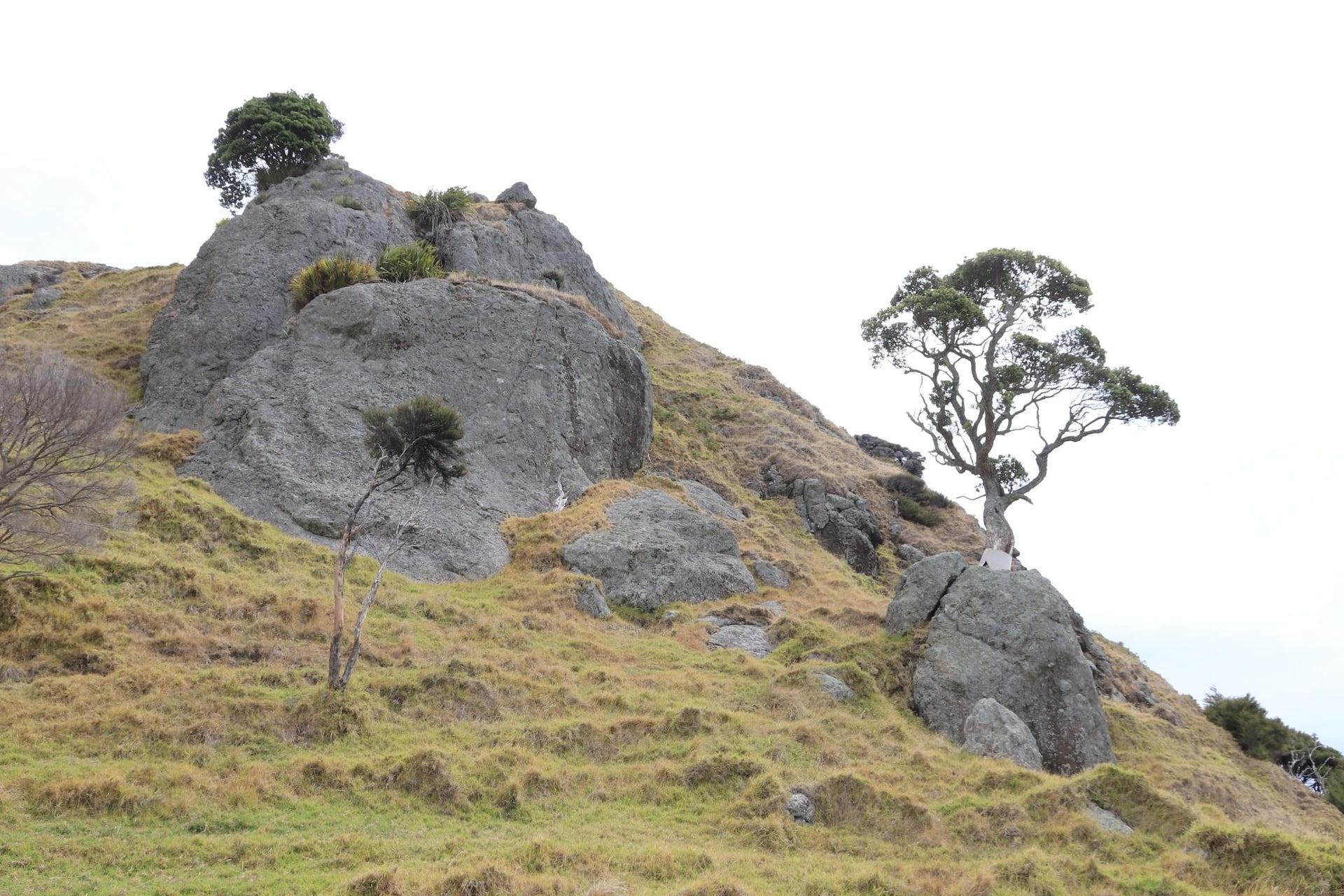 Rocky Grass Hill