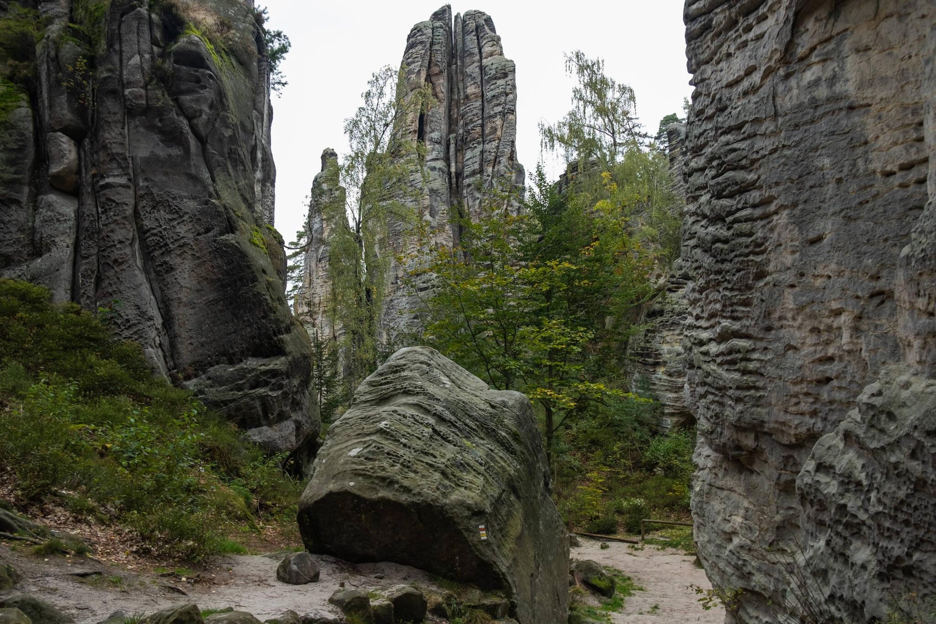 Rock Pillar Forest