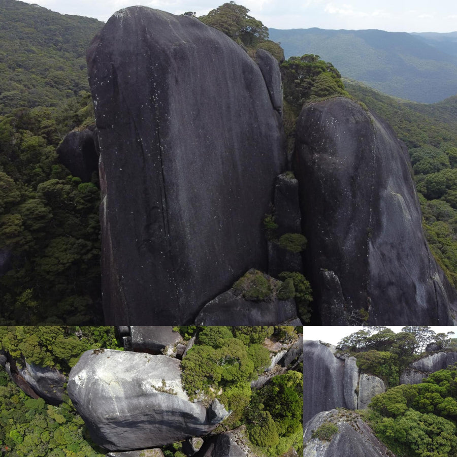 Giant Boulder in Jungle