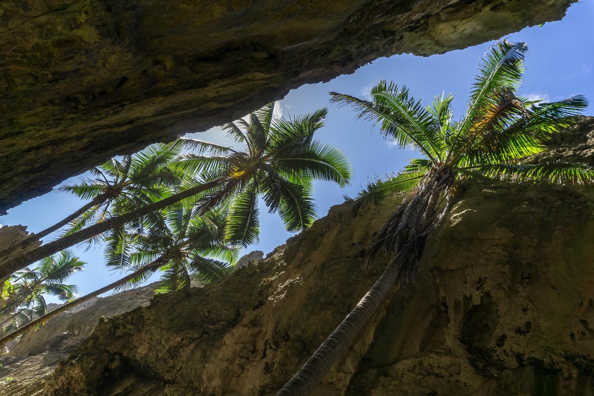 Togo Coral Rock Chasm