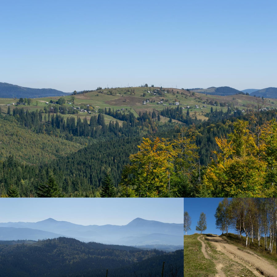 Carpathian Mountains in Summer