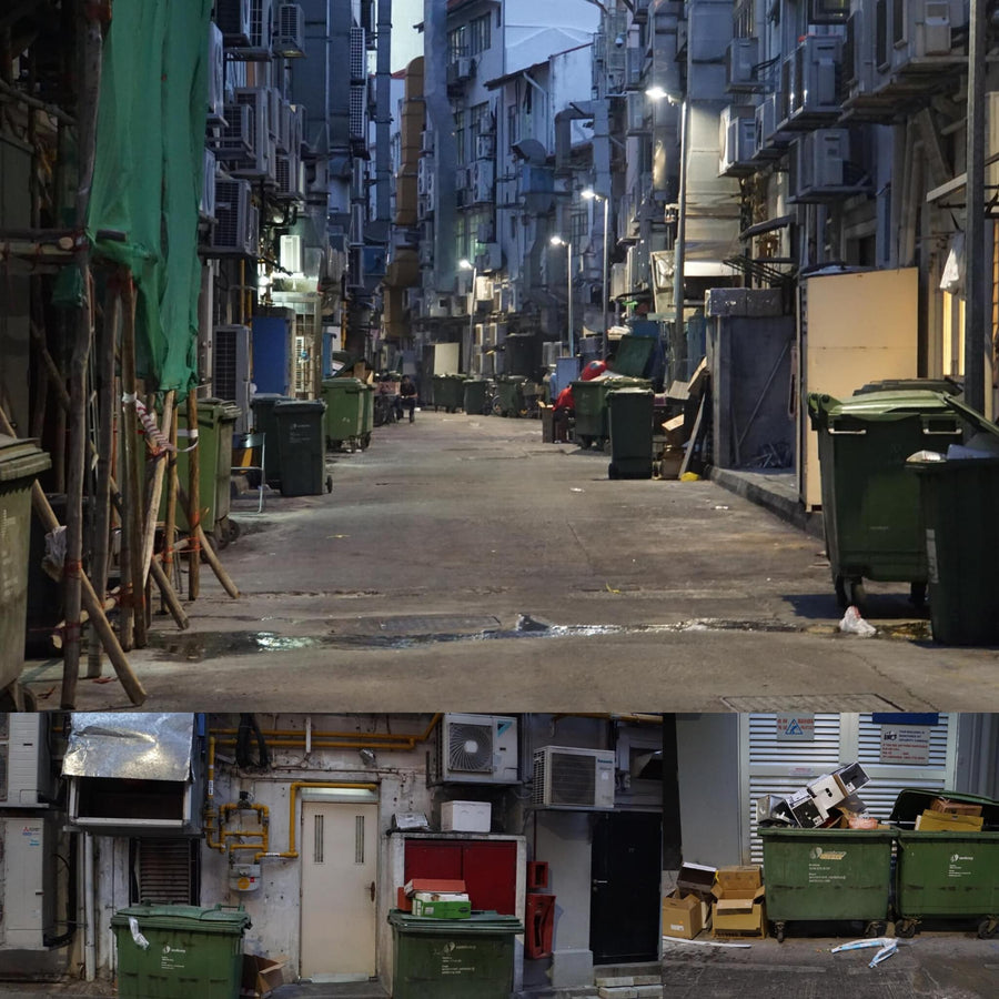 Asian Back Alley