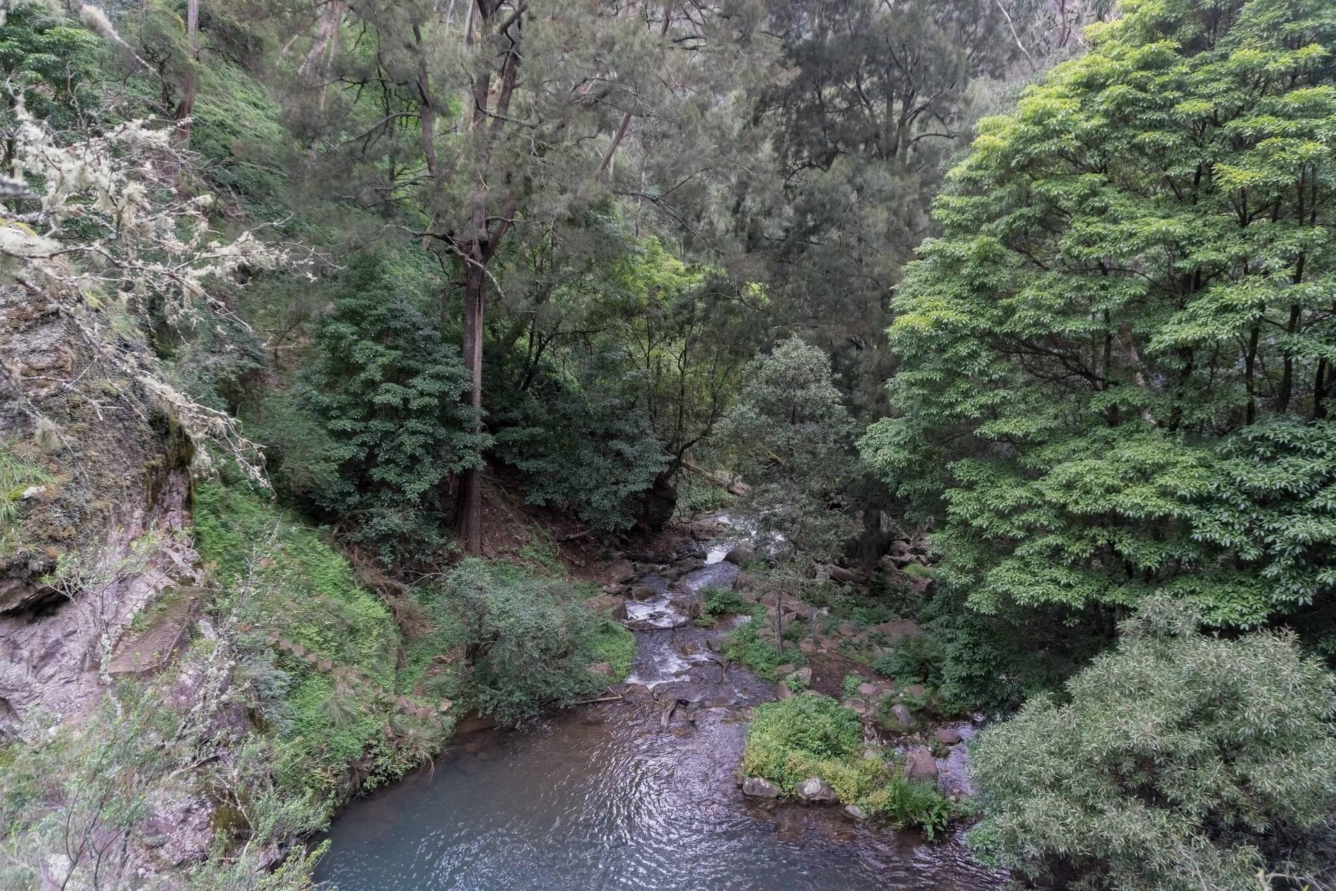 Green Stream and an Old Dam