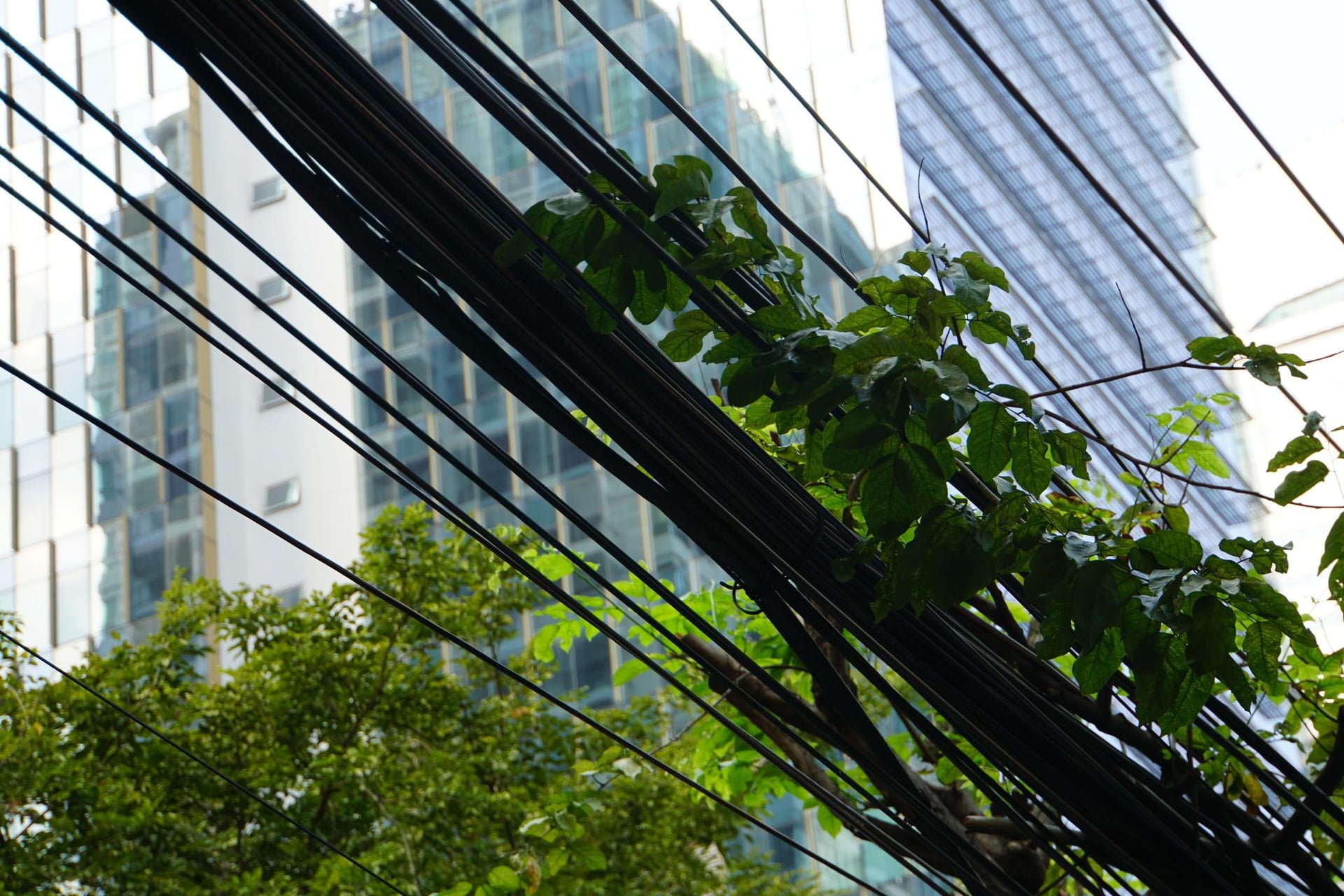 Street Wires