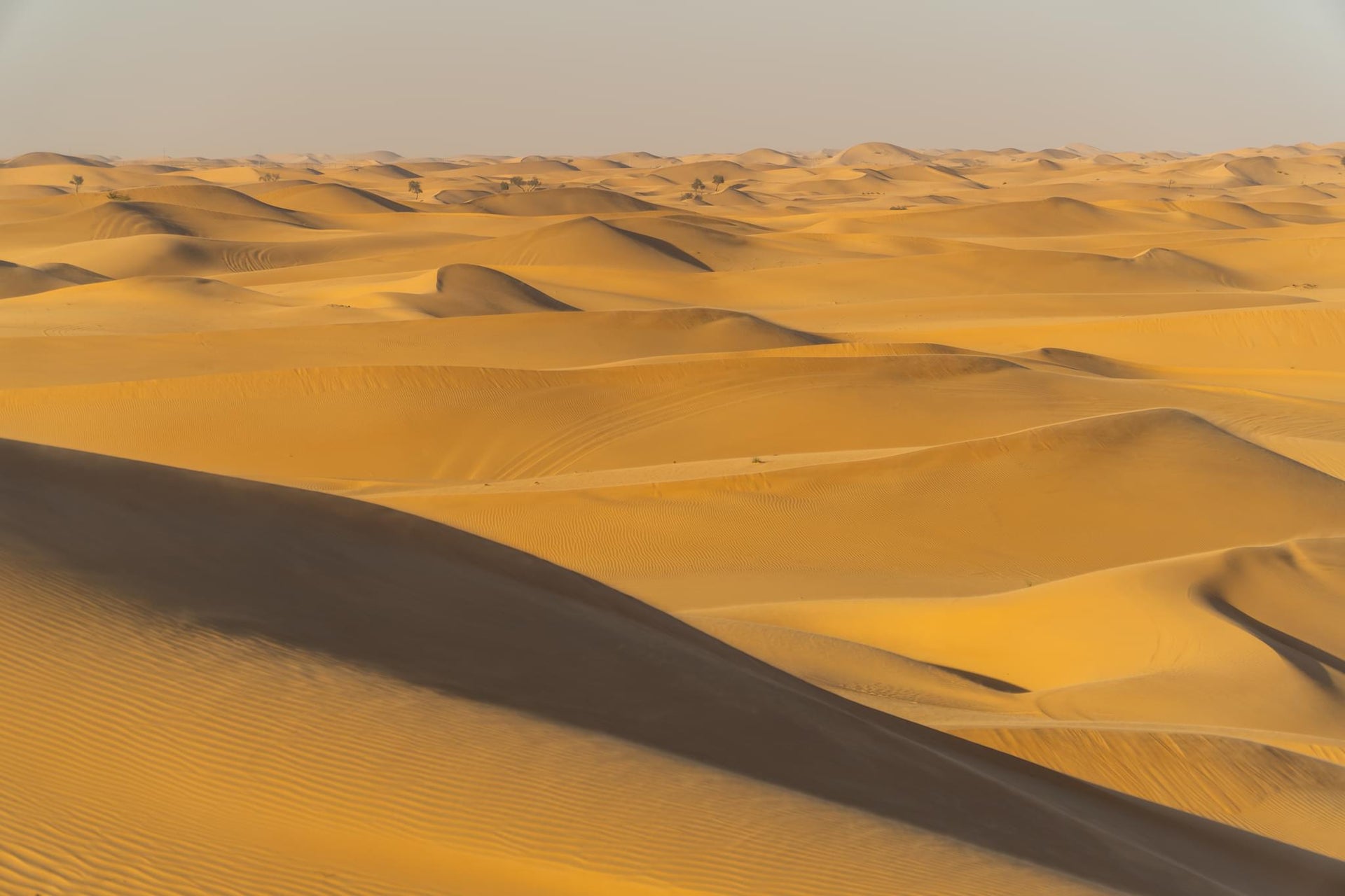 Arabian Desert