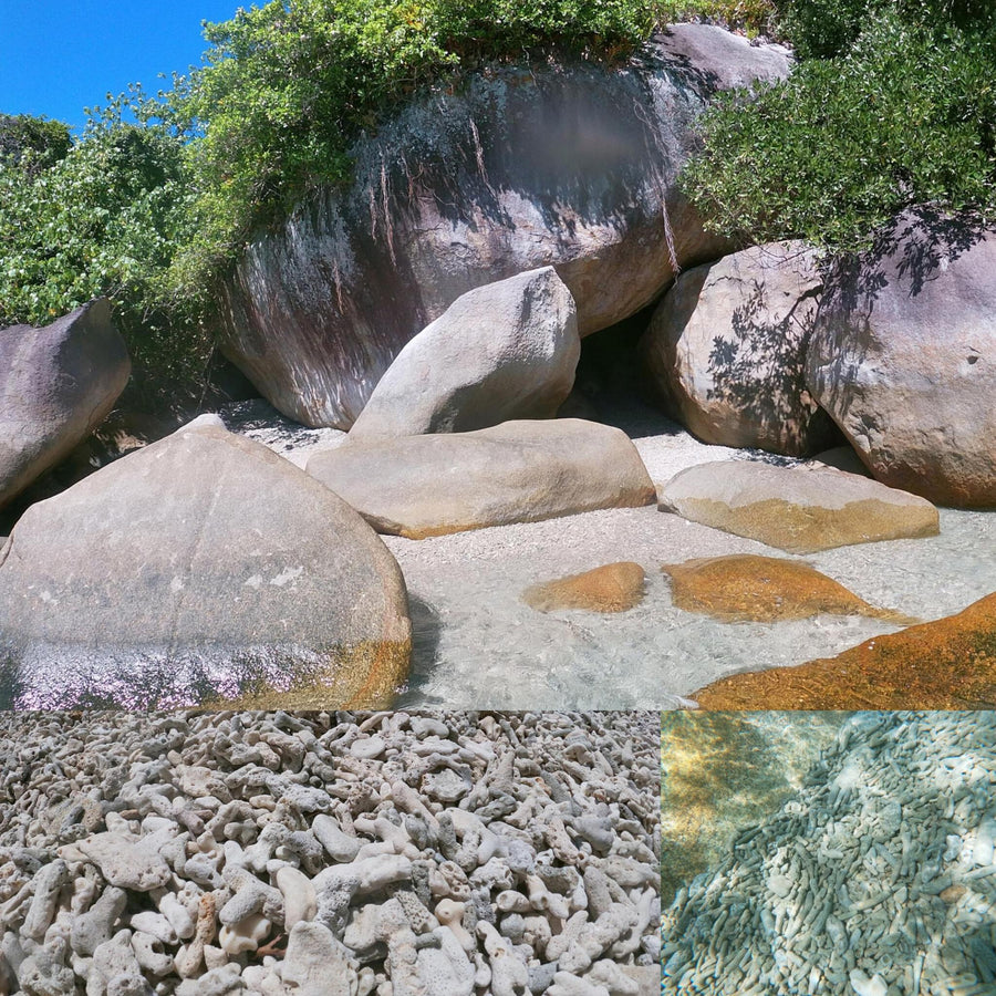 Dead Coral Beach