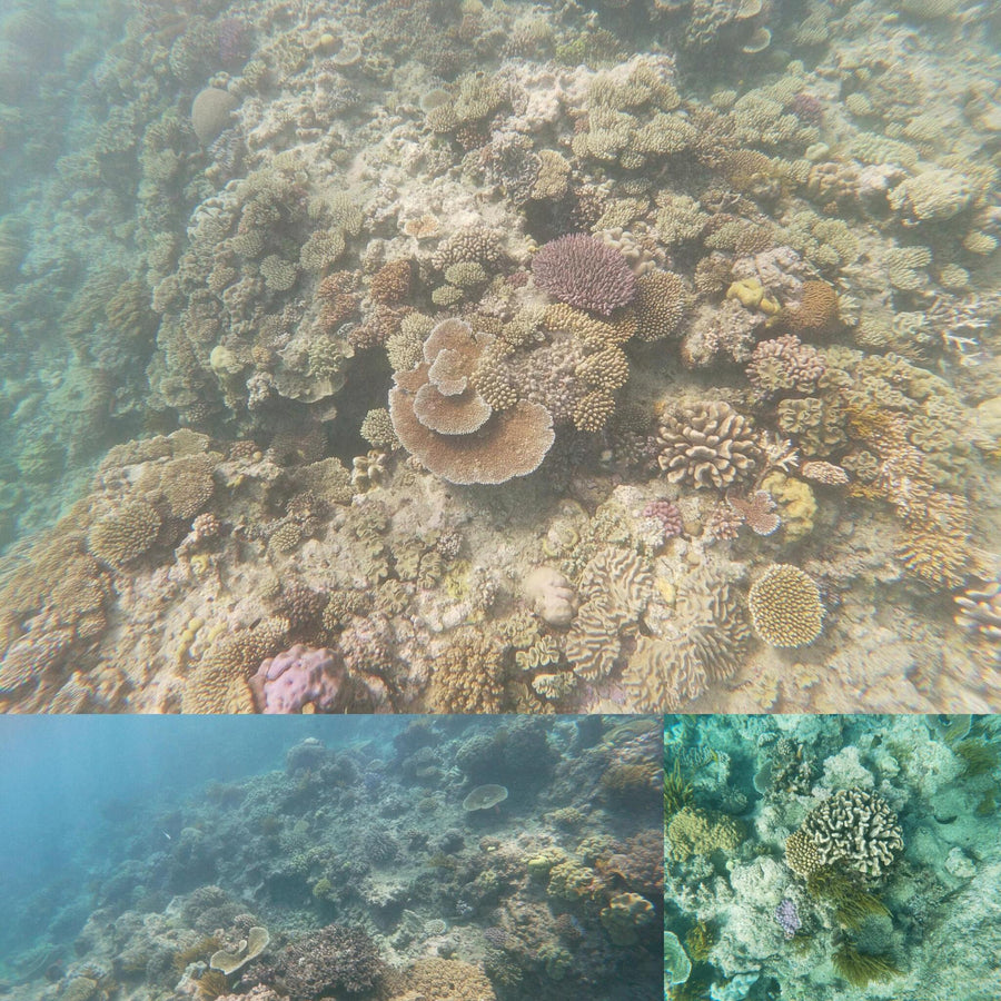 Great Barrier Coral Reef Hilly Formations