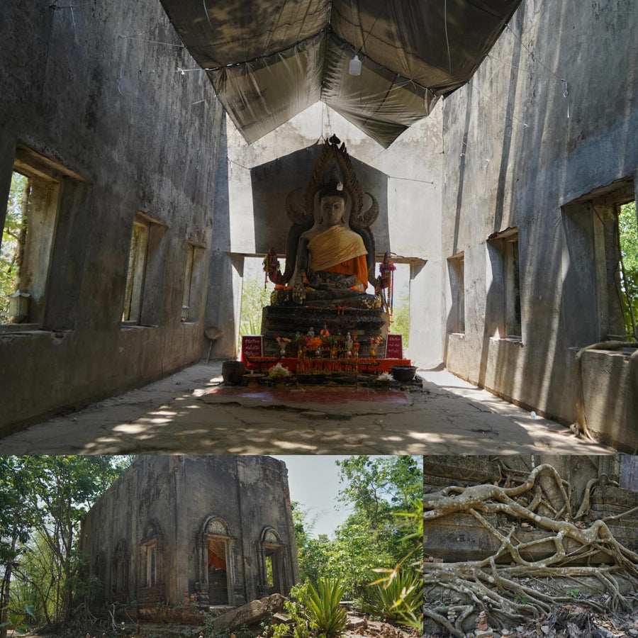 Overgrown Unfinished Concrete Buddhist Temple