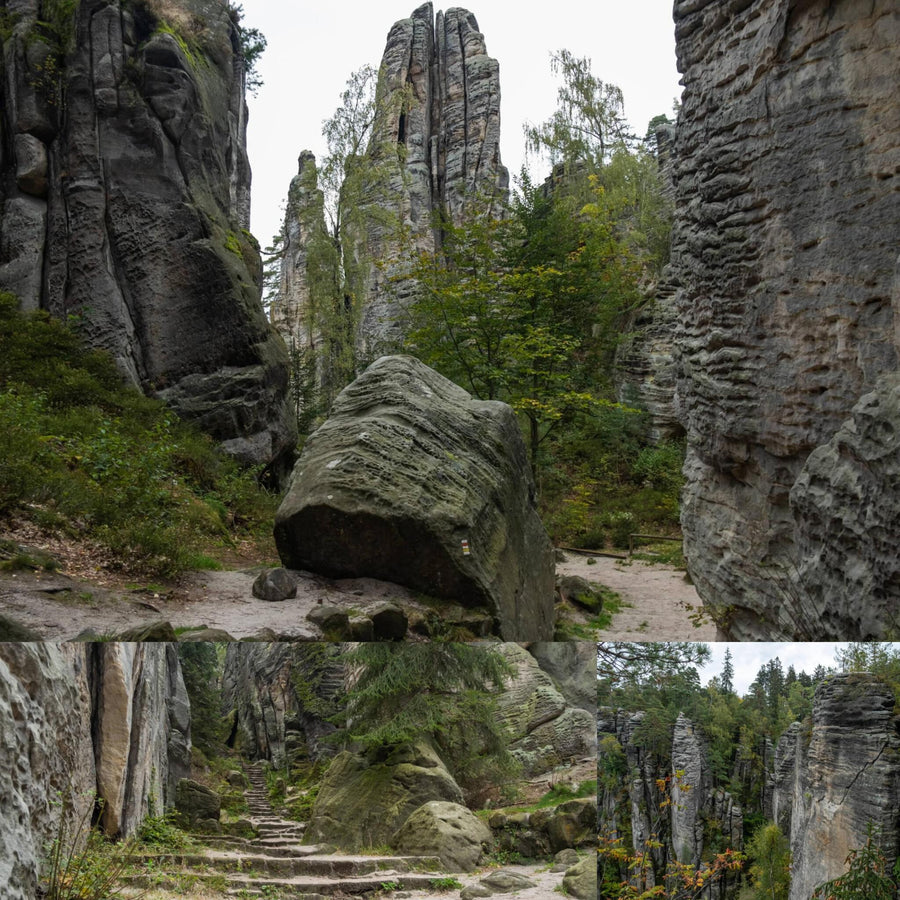 Rock Pillar Forest