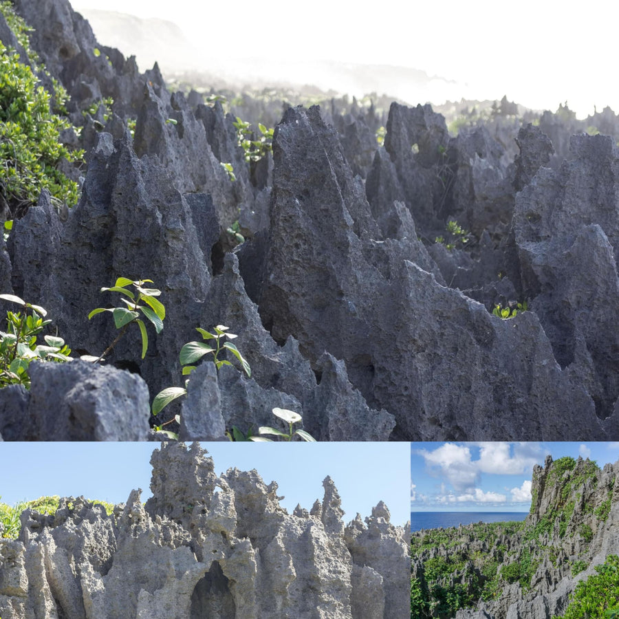 Razor-Sharp Coral Formations