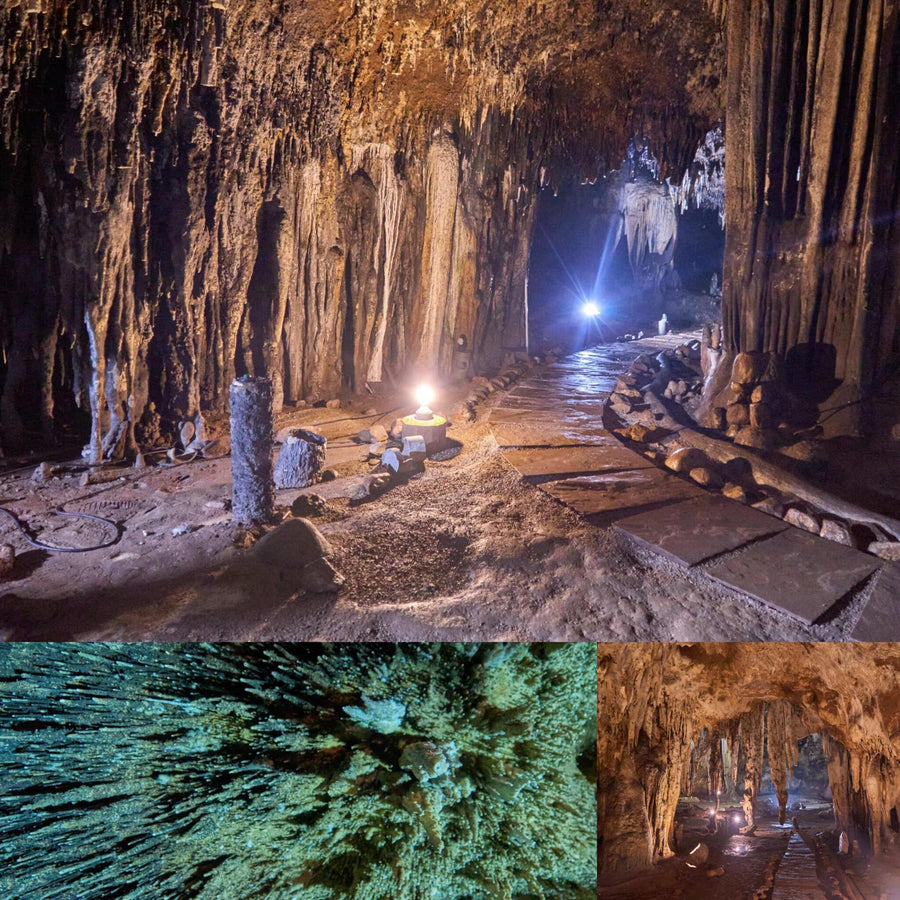 Hot Humid Cave Environment