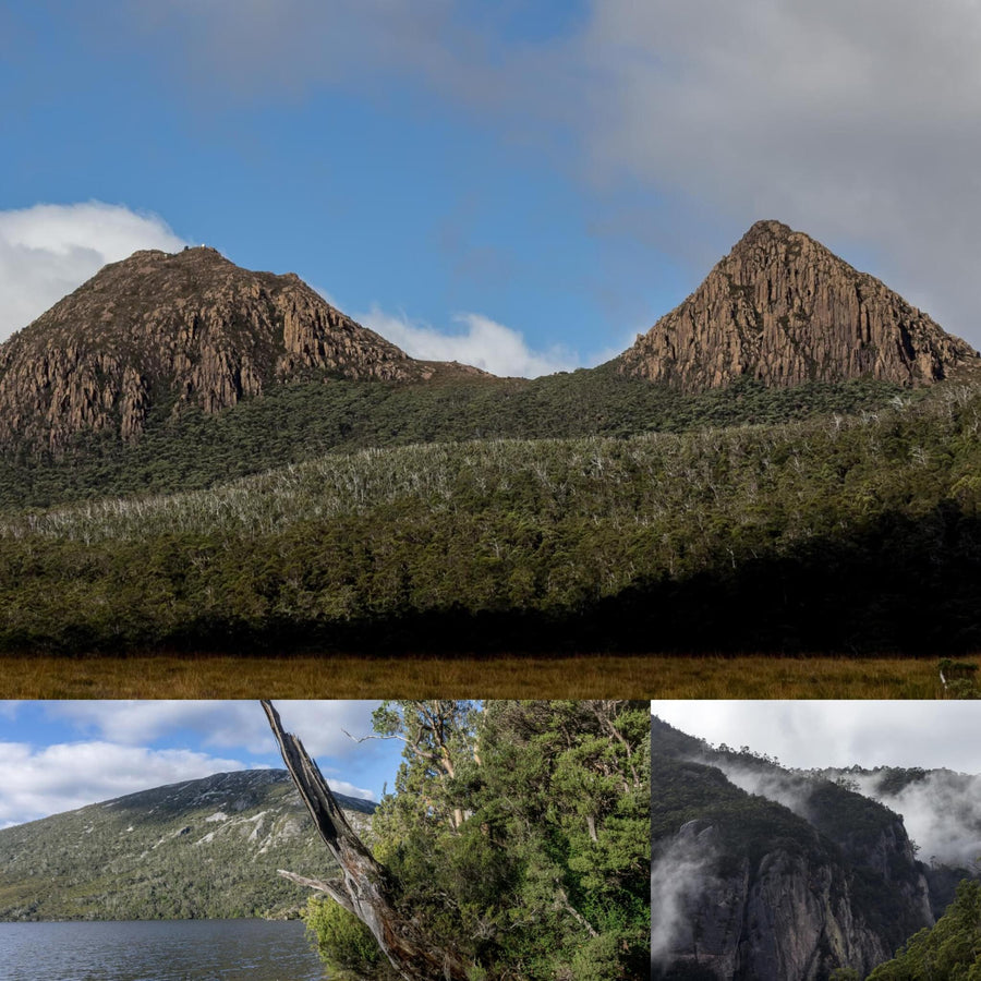 Cradle Mountain Park Tasmania