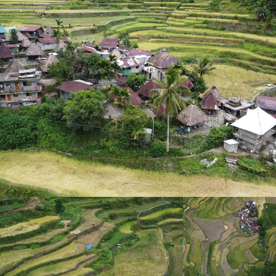Aerial Small Rice Terraces Village