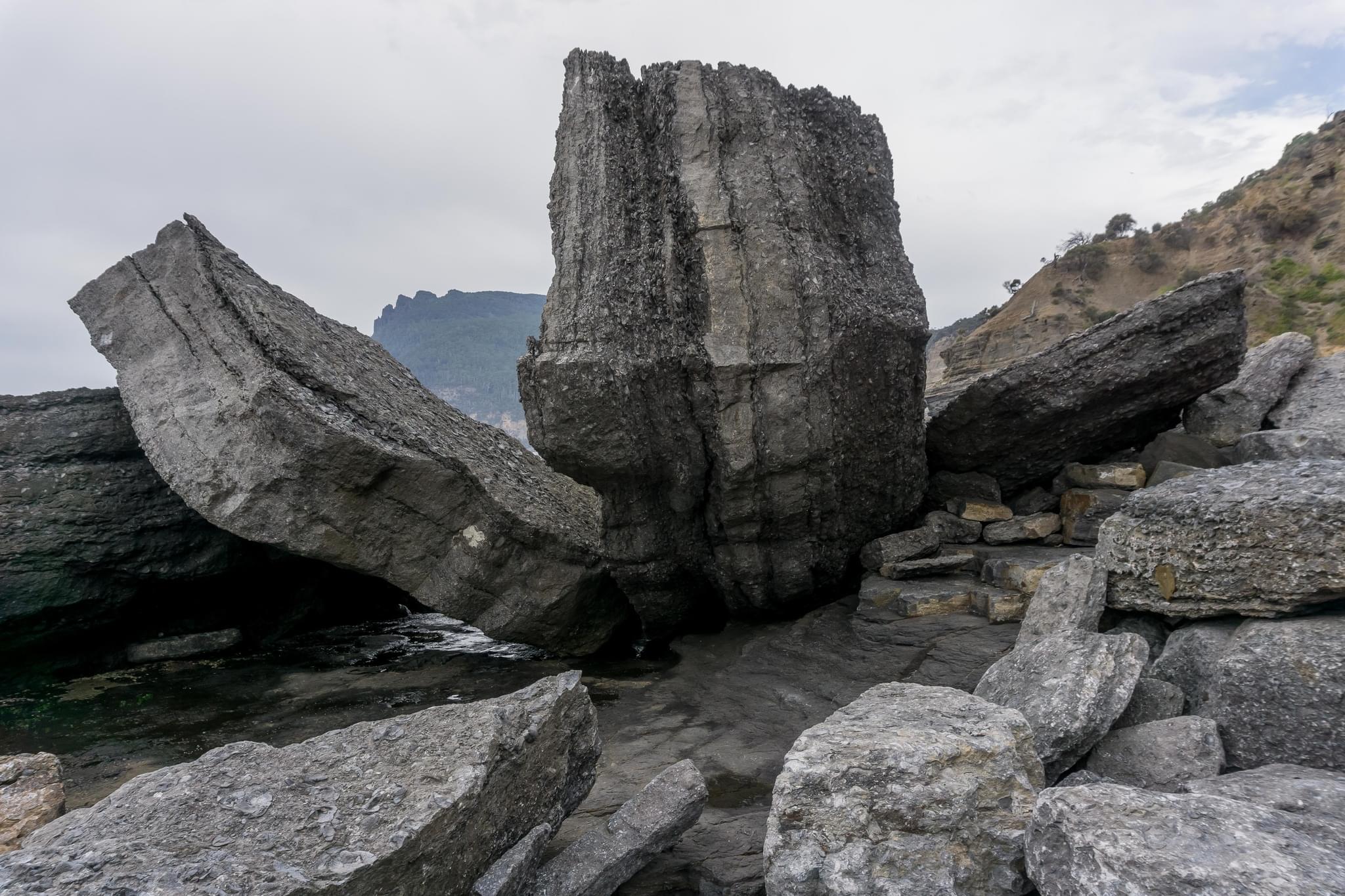 264 Photos Of Fossilized Shells Cliff Formation – Fotoref