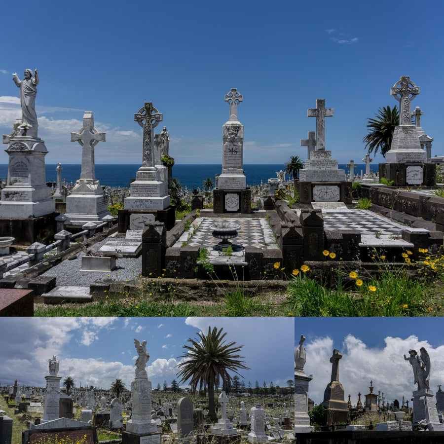 Tropical Cemetery