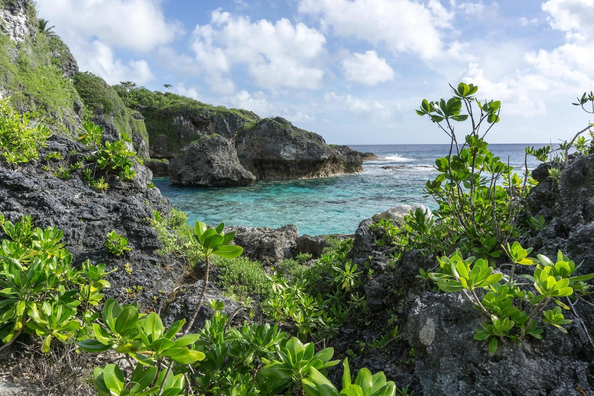 Coral Cliffs Cove