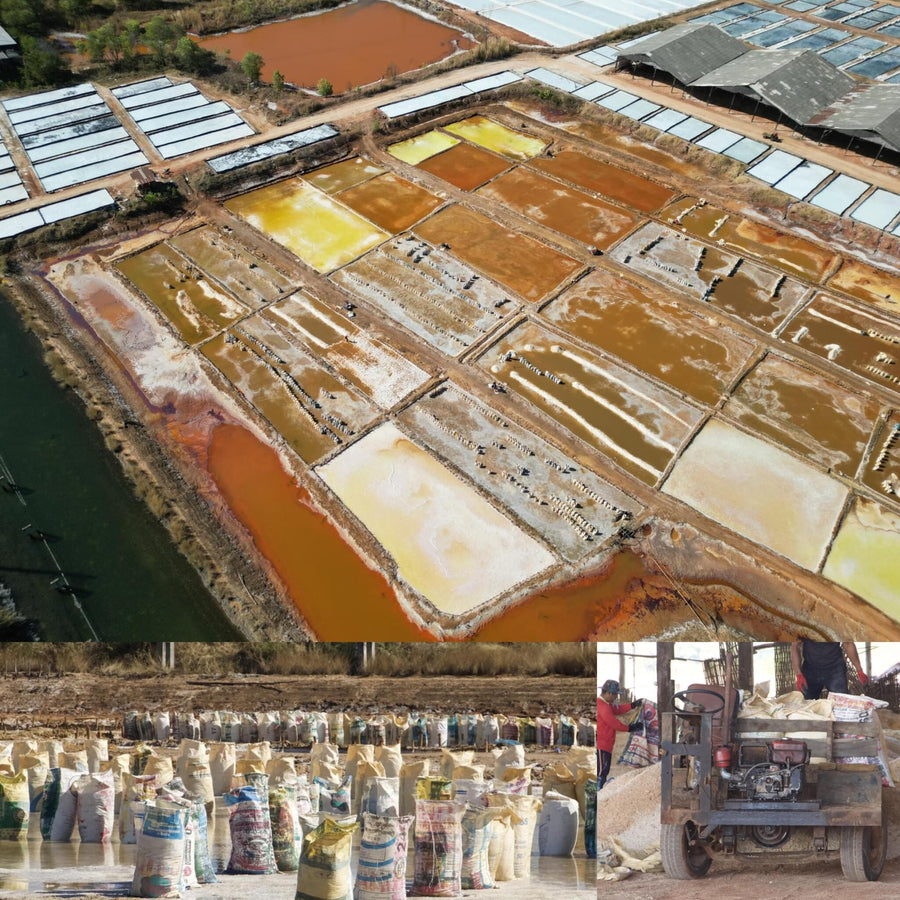 Colorful Salt Farm Fields and Sorting Facility