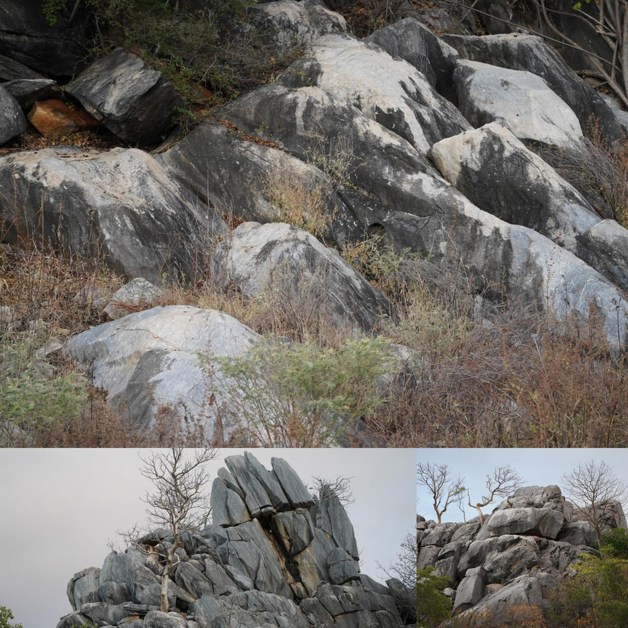 Top Bleached Boulders
